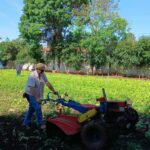 Horta urbana do FAC transforma produção em solidariedade