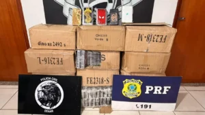 Denar apreendeu quase 350 kg de cocaína enquanto investigação da Infiltrados já estava em curso