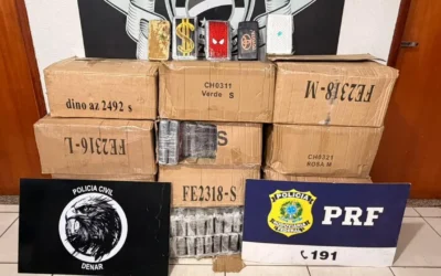 Denar apreendeu quase 350 kg de cocaína enquanto investigação da Infiltrados já estava em curso