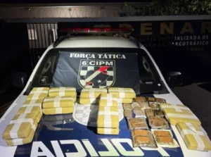 Passageira de ônibus é presa na BR-262 com mais de 20 kg de maconha escondida em mala