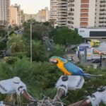 Campo Grande recebe fórum sobre turismo e conservação ambiental