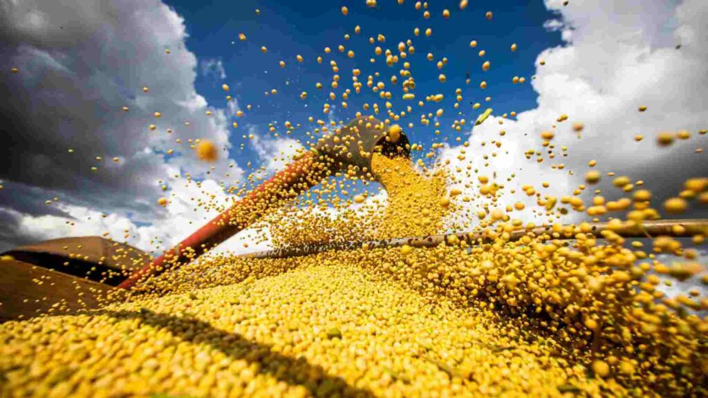 MS movimenta R$ 38,2 bilhões com grãos e amplia participação para 5,2% na agricultura brasileira