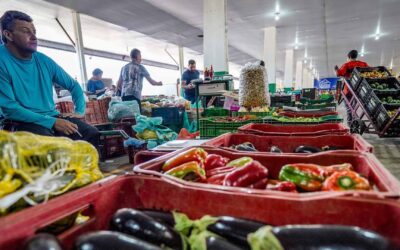 Campanha busca engajamento para reduzir desperdício de alimento