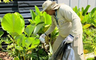 MS registra 10,6 mil casos confirmados de chikungunya neste ano