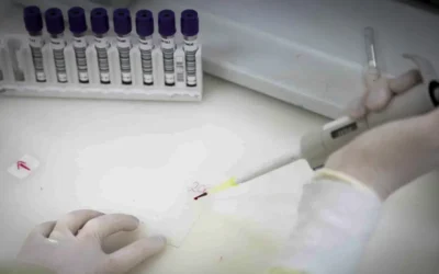 Malária: Anvisa autoriza teste em humanos de vacina 100% brasileira
