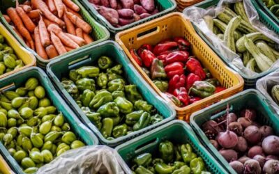 SES lança painel para monitorar situação alimentar e nutricional nos municípios de MS