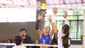 Campeonatos estaduais de base de vôlei têm fases finais neste fim de semana
