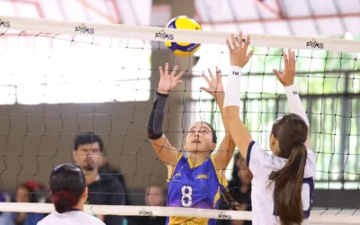 Campeonatos estaduais de base de vôlei têm fases finais neste fim de semana